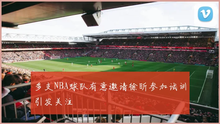 多支NBA球队有意邀请徐昕参加试训引发关注