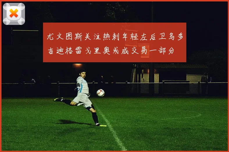 尤文图斯关注热刺年轻左后卫乌多吉迪格雷戈里奥或成交易一部分