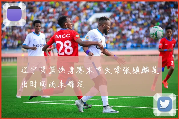 辽宁男篮热身赛末节失常张镇麟复出时间尚未确定